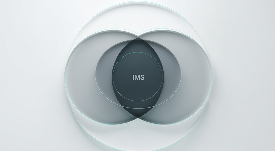 Integrierte Managementsysteme