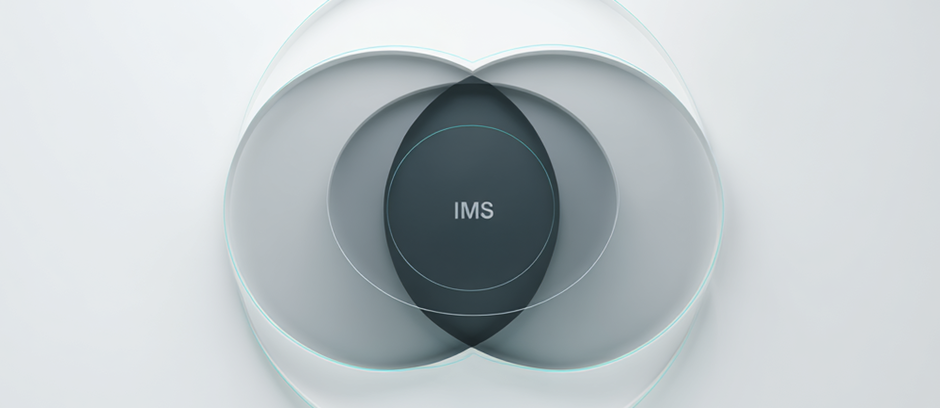 Integrierte Managementsysteme