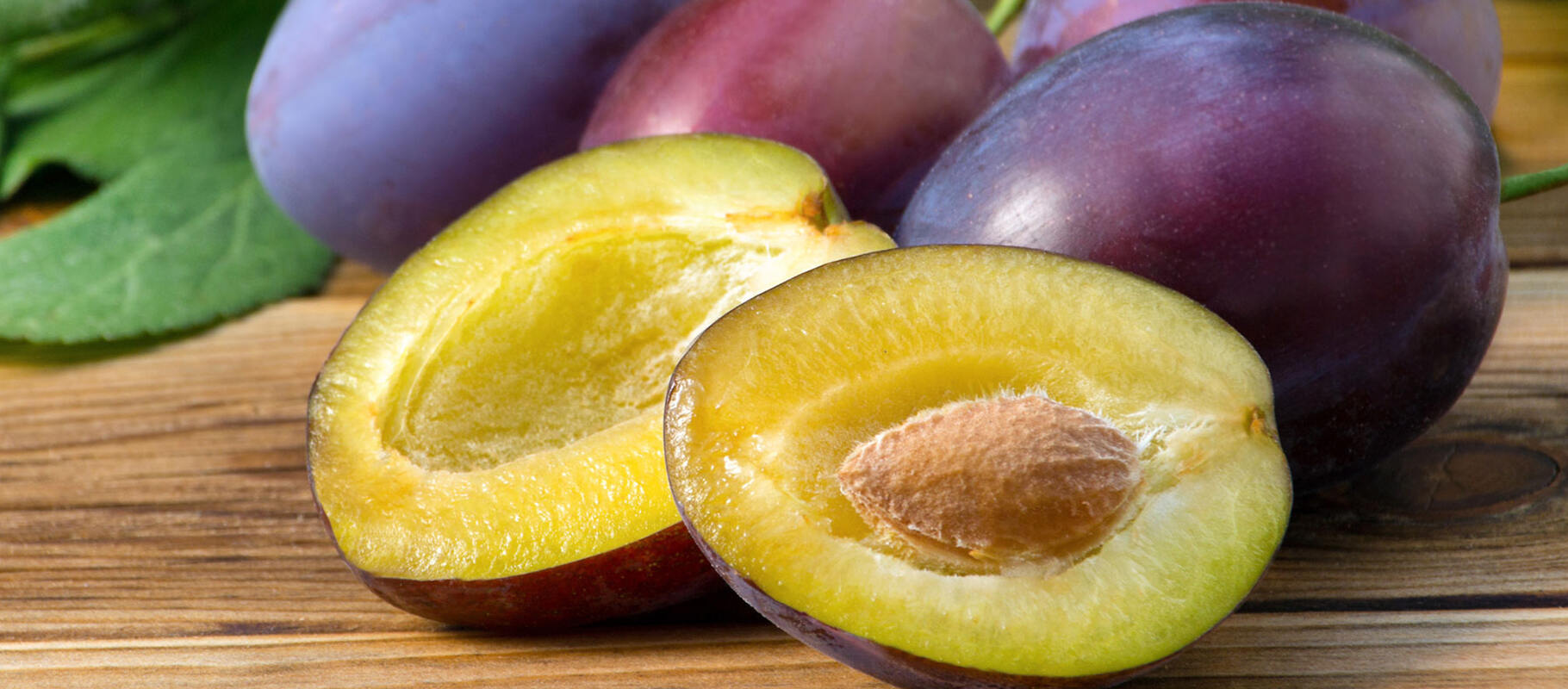 Lorem ipsum dolor sit amet