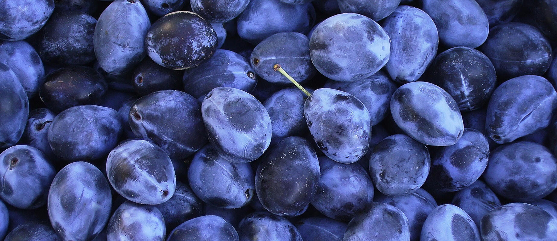 RTCU (Real Time Control Unit)